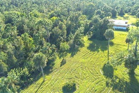 Land in Punta Gorda, Florida № 1912085 - photo 7