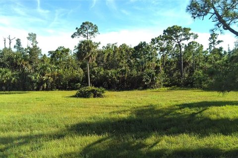 Land in Punta Gorda, Florida № 1912085 - photo 1