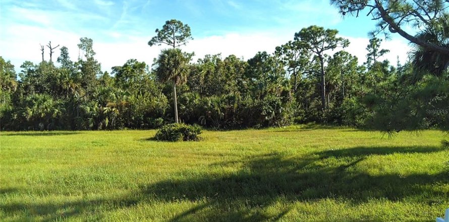 Land in Punta Gorda, Florida № 1912085