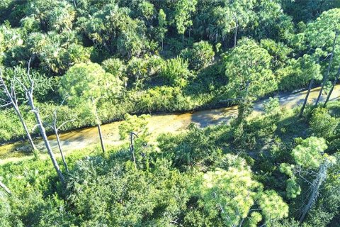 Land in Punta Gorda, Florida № 1912085 - photo 23