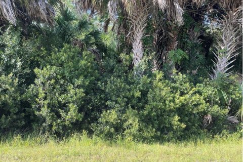 Land in Punta Gorda, Florida № 1912085 - photo 3