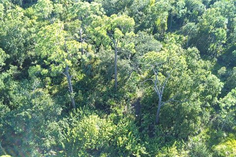 Land in Punta Gorda, Florida № 1912085 - photo 11
