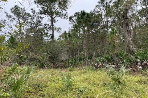 Land in Punta Gorda, Florida № 1912085 - photo 5
