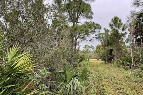 Land in Punta Gorda, Florida № 1912085 - photo 2