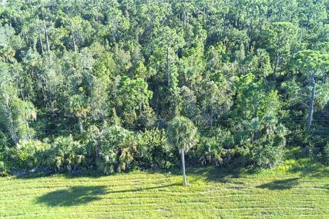 Land in Punta Gorda, Florida № 1912085 - photo 6