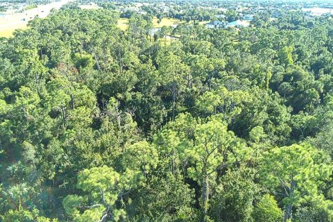 Land in Punta Gorda, Florida № 1912085 - photo 9