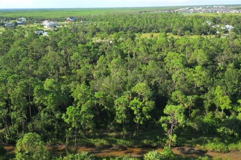 Land in Punta Gorda, Florida № 1912085 - photo 15
