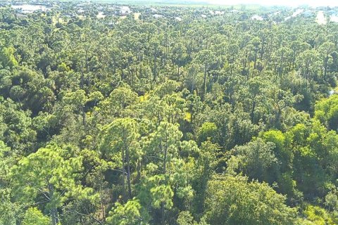 Land in Punta Gorda, Florida № 1912085 - photo 10