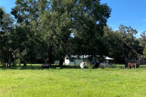 Terreno en venta en Summerfield, Florida № 1906806 - foto 5