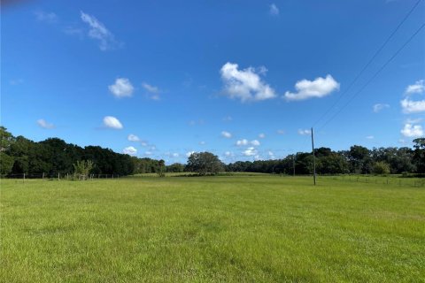 Terreno en venta en Summerfield, Florida № 1906806 - foto 1