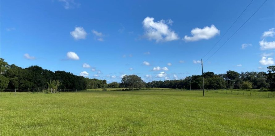 Terrain à Summerfield, Floride № 1906806