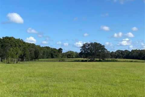 Terreno en venta en Summerfield, Florida № 1906806 - foto 8