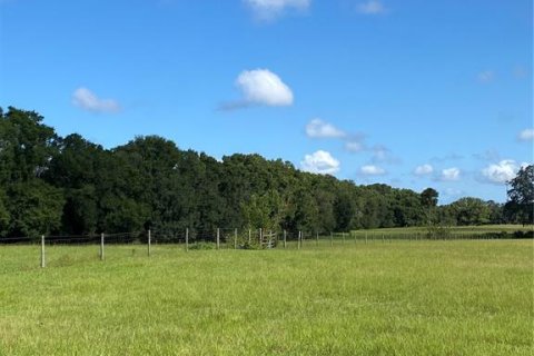 Terreno en venta en Summerfield, Florida № 1906806 - foto 6