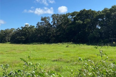 Terreno en venta en Summerfield, Florida № 1906806 - foto 13