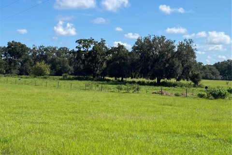 Terreno en venta en Summerfield, Florida № 1906806 - foto 9