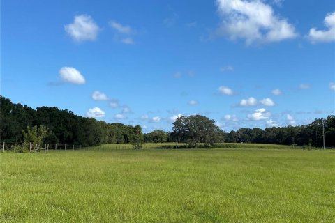 Terreno en venta en Summerfield, Florida № 1906806 - foto 2