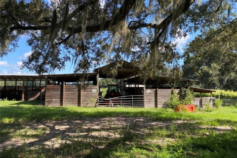 Terreno en venta en Summerfield, Florida № 1906806 - foto 15