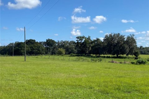 Terreno en venta en Summerfield, Florida № 1906806 - foto 3
