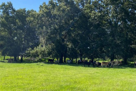 Terreno en venta en Summerfield, Florida № 1906806 - foto 4