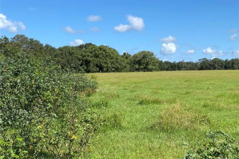 Terreno en venta en Summerfield, Florida № 1906806 - foto 12