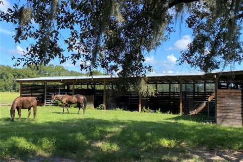 Terreno en venta en Summerfield, Florida № 1906806 - foto 18
