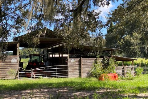 Terreno en venta en Summerfield, Florida № 1906806 - foto 16