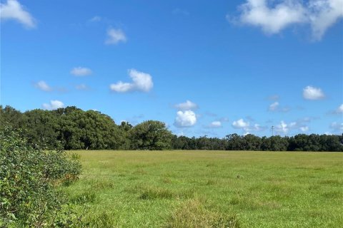 Terreno en venta en Summerfield, Florida № 1906806 - foto 11