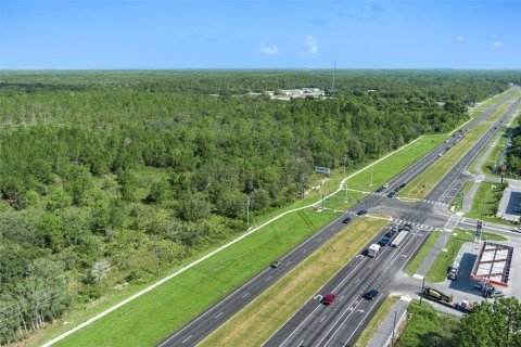 Land in Homosassa, Florida № 1295457 - photo 5