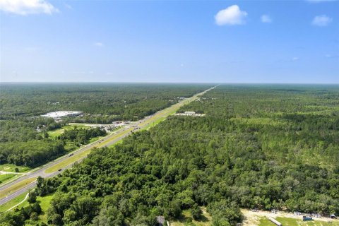 Land in Homosassa, Florida № 1295457 - photo 11