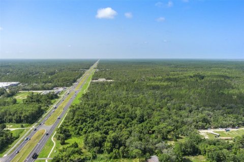 Land in Homosassa, Florida № 1295457 - photo 10
