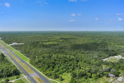 Land in Homosassa, Florida № 1295457 - photo 9