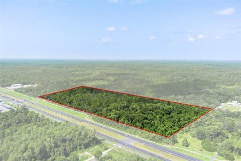 Land in Homosassa, Florida № 1295457 - photo 18