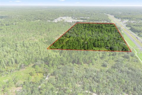 Land in Homosassa, Florida № 1295457 - photo 16