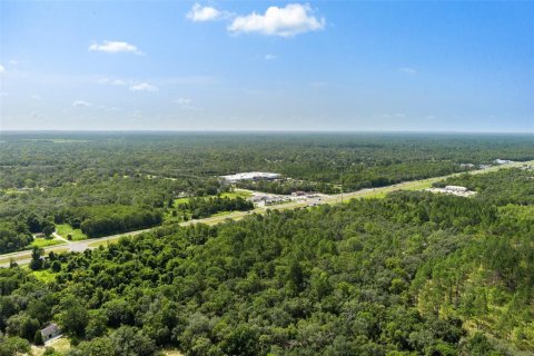 Land in Homosassa, Florida № 1295457 - photo 13