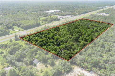 Land in Homosassa, Florida № 1295457 - photo 3