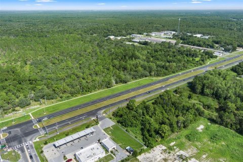 Land in Homosassa, Florida № 1295457 - photo 7