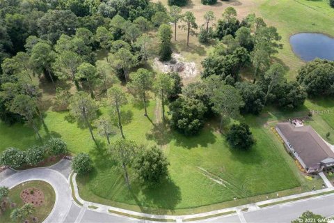 Land in Gainesville, Florida № 1636099 - photo 6