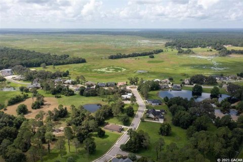 Land in Gainesville, Florida № 1636099 - photo 15
