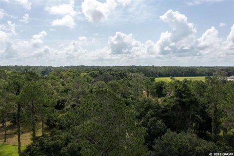 Land in Gainesville, Florida № 1636099 - photo 9