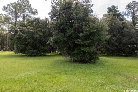 Land in Gainesville, Florida № 1636099 - photo 7
