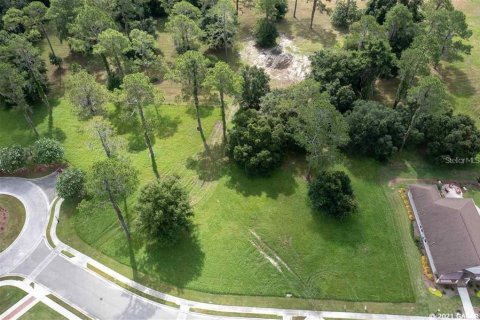 Land in Gainesville, Florida № 1636099 - photo 11