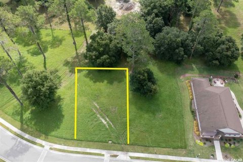 Land in Gainesville, Florida № 1636099 - photo 5
