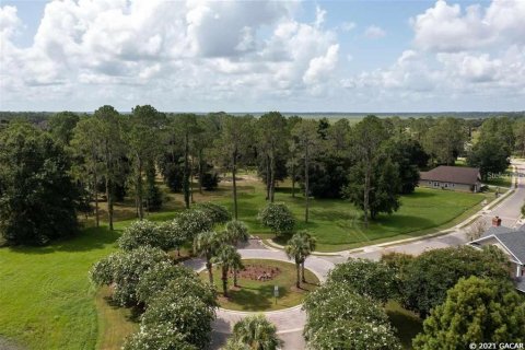 Land in Gainesville, Florida № 1636099 - photo 19