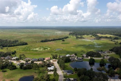 Land in Gainesville, Florida № 1636099 - photo 14