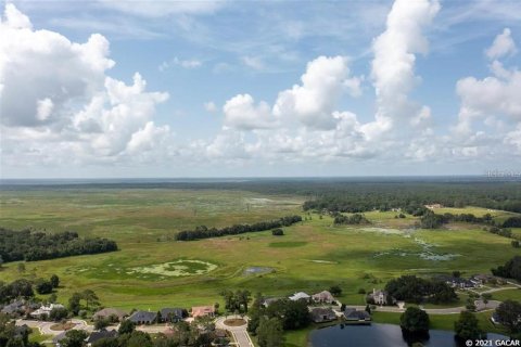 Land in Gainesville, Florida № 1636099 - photo 13