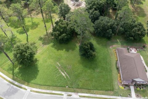 Land in Gainesville, Florida № 1636099 - photo 10