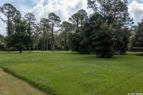Land in Gainesville, Florida № 1636099 - photo 8