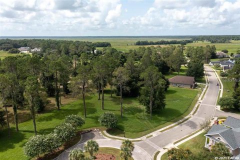 Land in Gainesville, Florida № 1636099 - photo 4