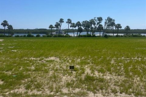 Terrain à vendre à Flagler Beach, Floride № 1848705 - photo 5