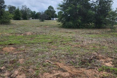 Land in Inverness, Florida № 1893827 - photo 2
